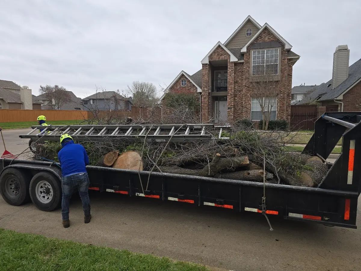 Expert Crown Reduction with proper safety equipment in Walled Lake
